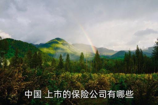 中國人民保險集團上市,陽光保險集團什么時候上市的