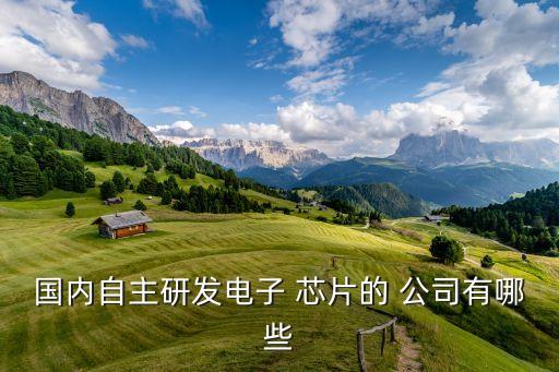 國(guó)內(nèi)自主研發(fā)電子 芯片的 公司有哪些