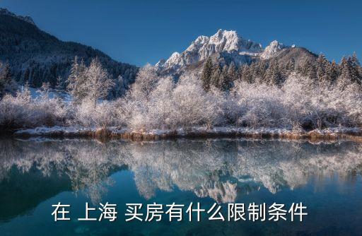 在 上海 買(mǎi)房有什么限制條件