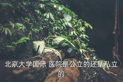 北京大學(xué)國際 醫(yī)院是公立的還是私立的