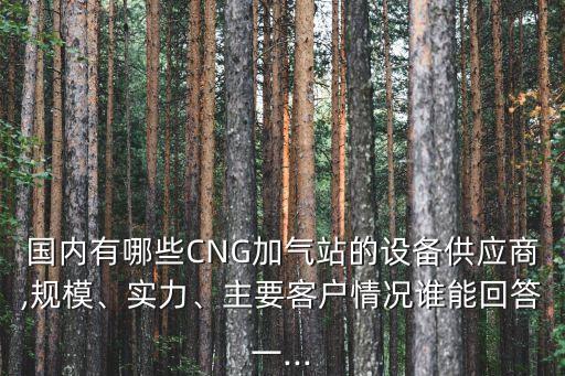 國(guó)內(nèi)有哪些CNG加氣站的設(shè)備供應(yīng)商,規(guī)模、實(shí)力、主要客戶情況誰(shuí)能回答一...