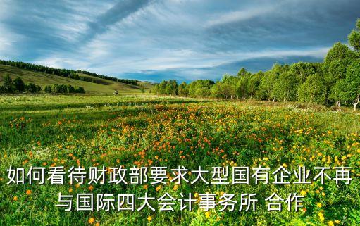 如何看待財政部要求大型國有企業(yè)不再與國際四大會計事務所 合作