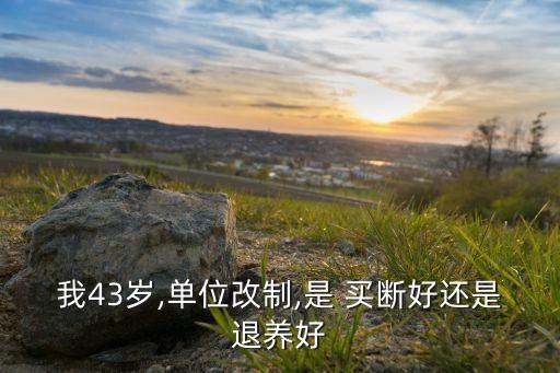 我43歲,單位改制,是 買(mǎi)斷好還是退養(yǎng)好