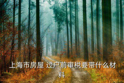  上海市房屋 過戶前審稅要帶什么材料