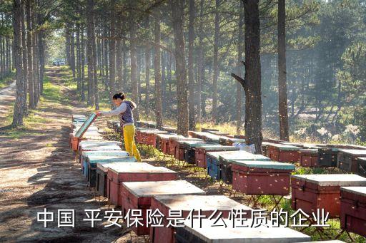 平安羅素投資管理公司,南京羅素投資管理有限公司