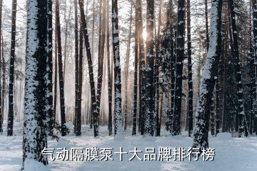 氣動(dòng)隔膜泵十大品牌排行榜