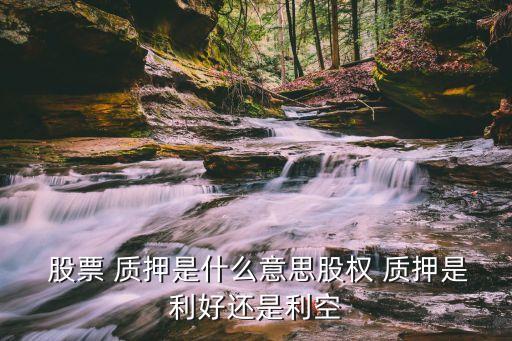 個人賬戶股票質押,股票個人賬戶最多能買多少股