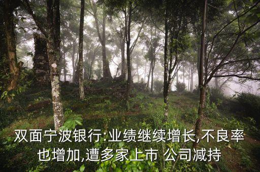 雅戈爾公司大股東,寧波銀行雅戈爾股東