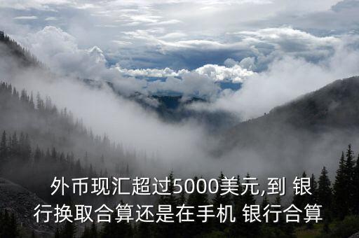  外幣現(xiàn)匯超過5000美元,到 銀行換取合算還是在手機 銀行合算