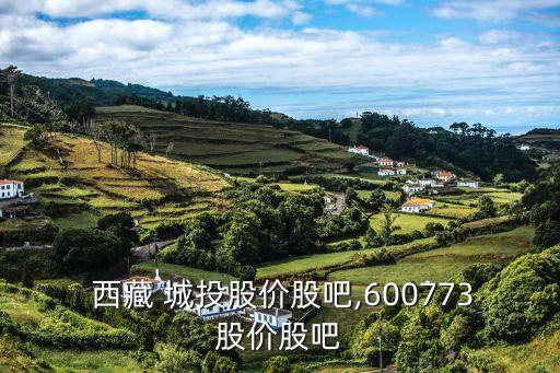  西藏 城投股價(jià)股吧,600773股價(jià)股吧