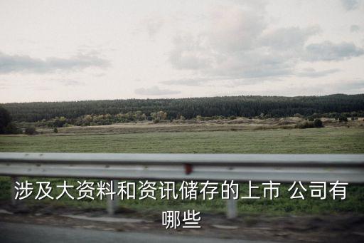 涉及大資料和資訊儲(chǔ)存的上市 公司有哪些