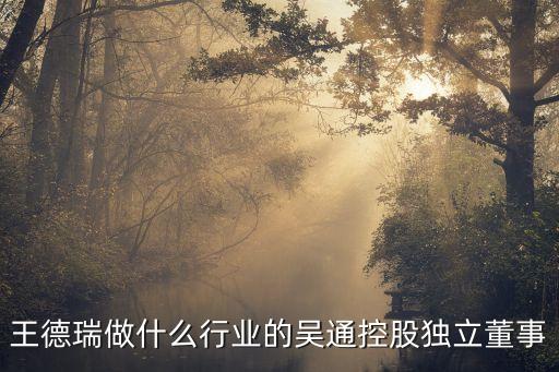 王德瑞做什么行業(yè)的吳通控股獨立董事