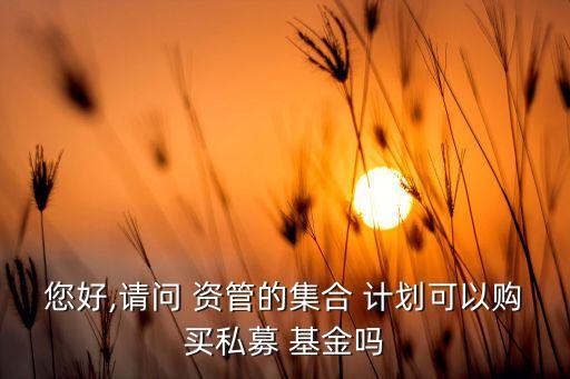 您好,請(qǐng)問 資管的集合 計(jì)劃可以購(gòu)買私募 基金嗎