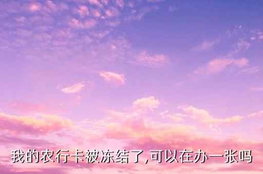 我的農(nóng)行卡被凍結(jié)了,可以在辦一張嗎