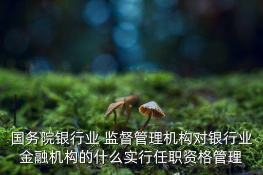 國務院銀行業(yè) 監(jiān)督管理機構對銀行業(yè)金融機構的什么實行任職資格管理