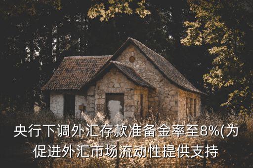 央行下調(diào)外匯存款準(zhǔn)備金率至8%(為促進(jìn)外匯市場流動性提供支持