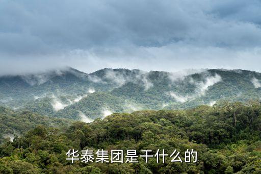  華泰集團是干什么的