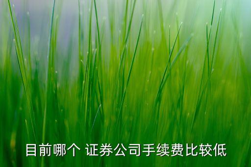 目前哪個(gè) 證券公司手續(xù)費(fèi)比較低
