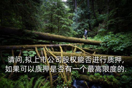 請(qǐng)問(wèn),擬上市公司股權(quán)能否進(jìn)行質(zhì)押,如果可以質(zhì)押是否有一個(gè)最高限度的...