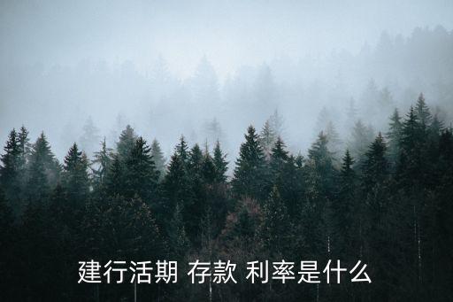 建行活期 存款 利率是什么