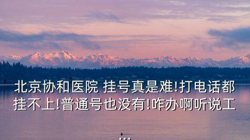 北京協(xié)和醫(yī)院 掛號真是難!打電話都掛不上!普通號也沒有!咋辦啊聽說工...