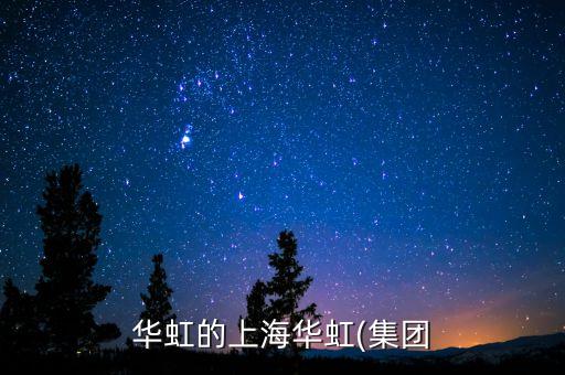 華虹的上海華虹(集團