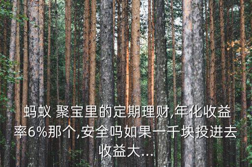  螞蟻 聚寶里的定期理財(cái),年化收益率6%那個(gè),安全嗎如果一千塊投進(jìn)去收益大...