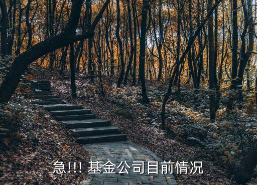 泰信基金總部,泰信優(yōu)質生活基金最新走勢