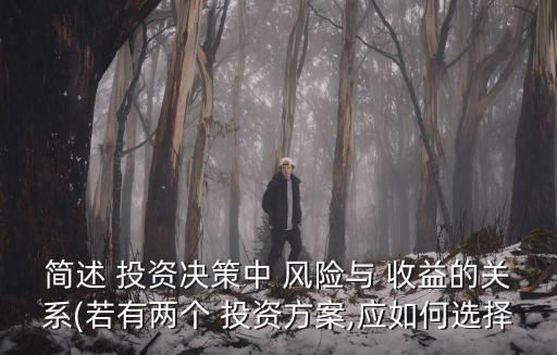 簡述 投資決策中 風(fēng)險(xiǎn)與 收益的關(guān)系(若有兩個(gè) 投資方案,應(yīng)如何選擇