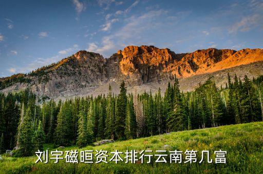 劉宇磁晅資本排行云南第幾富