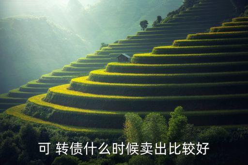 股票轉(zhuǎn)債可以隨時賣嗎,股票可以隨時買隨時賣嗎?