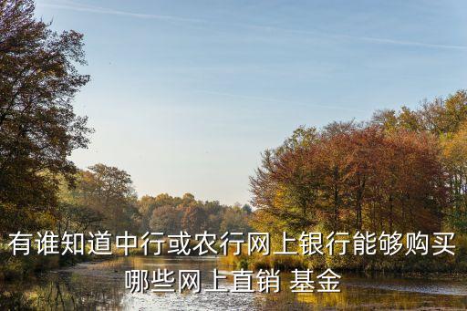 有誰知道中行或農行網上銀行能夠購買哪些網上直銷 基金