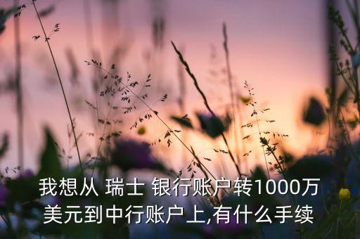 我想從 瑞士 銀行賬戶轉(zhuǎn)1000萬美元到中行賬戶上,有什么手續(xù)