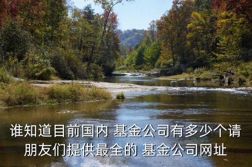 誰知道目前國內(nèi) 基金公司有多少個(gè)請(qǐng)朋友們提供最全的 基金公司網(wǎng)址