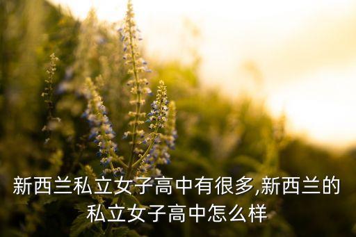 新西蘭私立女子高中有很多,新西蘭的私立女子高中怎么樣