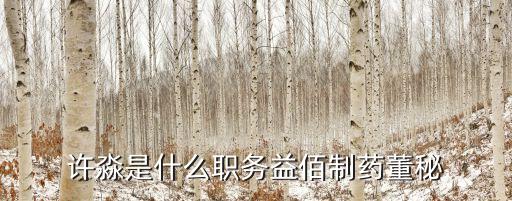 許淼是什么職務(wù)益佰制藥董秘