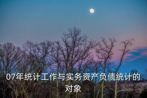 07年統(tǒng)計(jì)工作與實(shí)務(wù)資產(chǎn)負(fù)債統(tǒng)計(jì)的對(duì)象