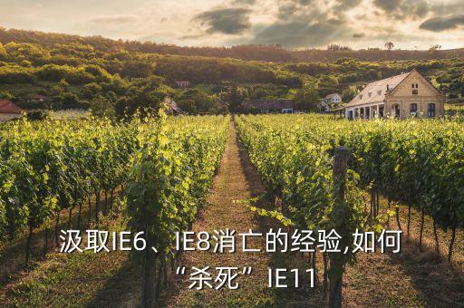 汲取IE6、IE8消亡的經(jīng)驗,如何“殺死”IE11