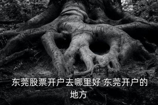  東莞股票開戶去哪里好 東莞開戶的地方