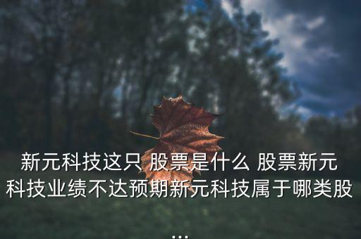 新元科技這只 股票是什么 股票新元科技業(yè)績(jī)不達(dá)預(yù)期新元科技屬于哪類股...