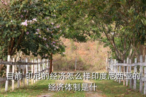 中國(guó)印尼貿(mào)易額