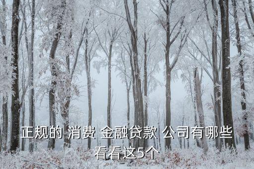 正規(guī)的 消費(fèi) 金融貸款 公司有哪些看看這5個(gè)
