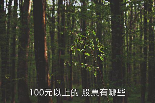 100元以上的 股票有哪些