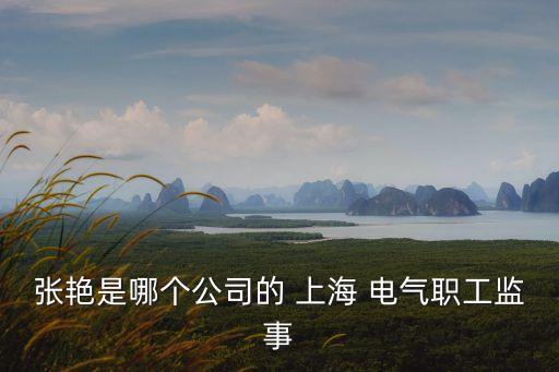張艷是哪個(gè)公司的 上海 電氣職工監(jiān)事