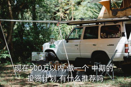 現(xiàn)在500萬(wàn)以內(nèi),做一個(gè) 中期的 投資計(jì)劃,有什么推薦嗎