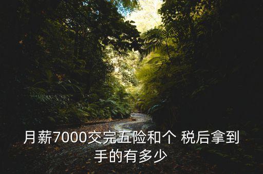 月薪7000交完五險和個 稅后拿到手的有多少