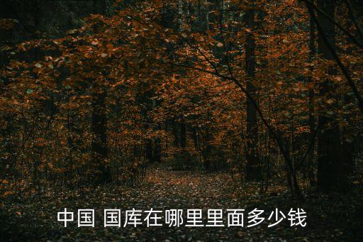 中國 國庫在哪里里面多少錢
