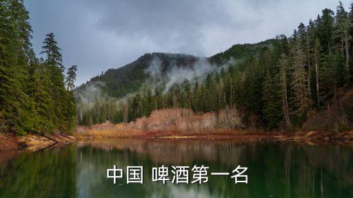 中國(guó) 啤酒第一名