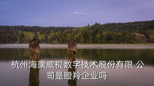  杭州?？低晹?shù)字技術(shù)股份有限 公司是瞪羚企業(yè)嗎
