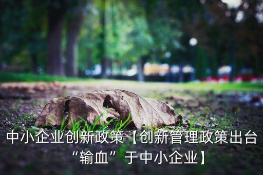 中小企業(yè)創(chuàng)新政策【創(chuàng)新管理政策出臺(tái)“輸血”于中小企業(yè)】